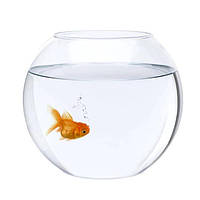 Круглі Акваріуми і Акваріуми келихи