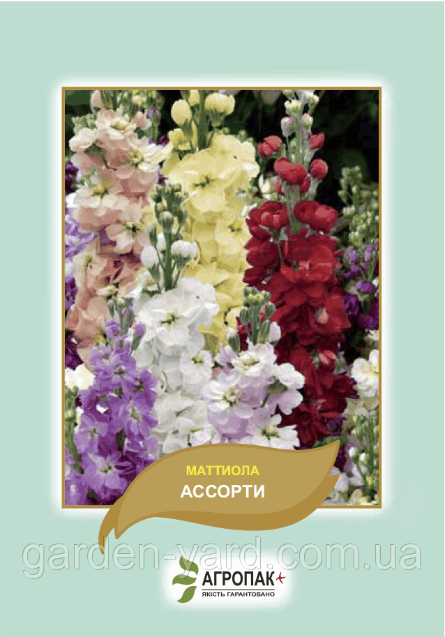Насіння квітів Матіола Асорті Агропак