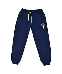 Штани спортивні утеплені для хлопчика, начіс, Ildes