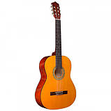 Гітара класична Alfabeto Classic44 + чохол, фото 2