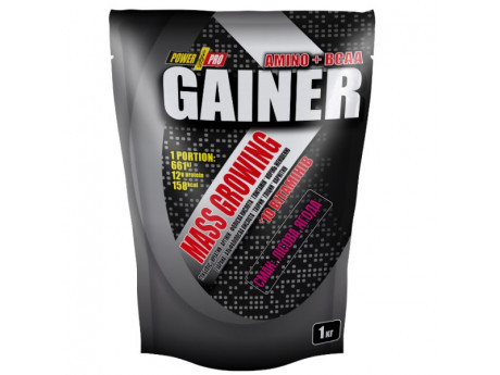 Купити AMINO POWER PRO 1кг Лісова ягода