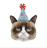 Фольгированные шары / Грампи кэт в колпаке Сердитая кошка Grumpy cat