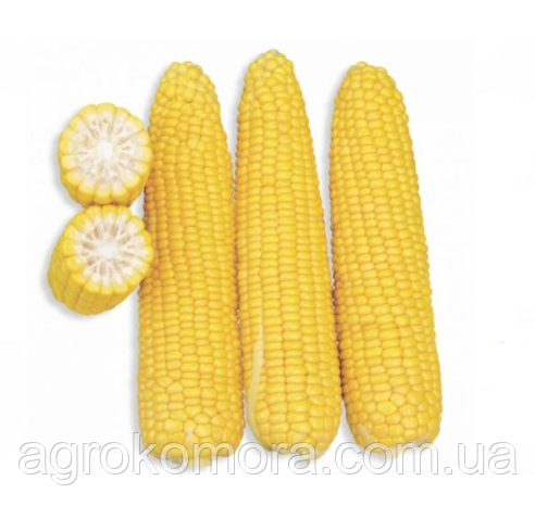 Добриня F1 кукурудза цукрова 2500нас. Lark Seeds