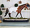 Статуетка "Рудий кінь у яблучко" 35*23*11,5 см   SM00503-2, фото 5
