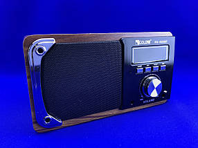Портативна акумуляторна Bluetooth FM радіо колонка Golon RX-1822BT