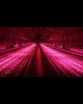 Лампа для теплиць "Союз 5", фото 5