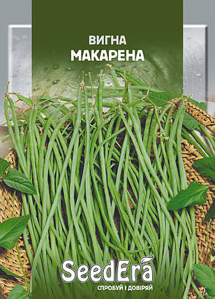 Насіння Квасоля Китайська Вигна Макарена 10 г, Seedera, фото 1