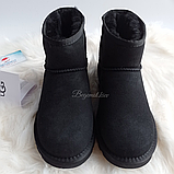 Жіночі уггі UGG australia ultra classic mini чорний, фото 2