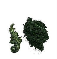 Кандурин пищевой Зеленый темный плотный 5 гр