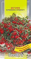 Семена цветов Бегония боливийския Копакабана красная F1, 5 шт, Seedera