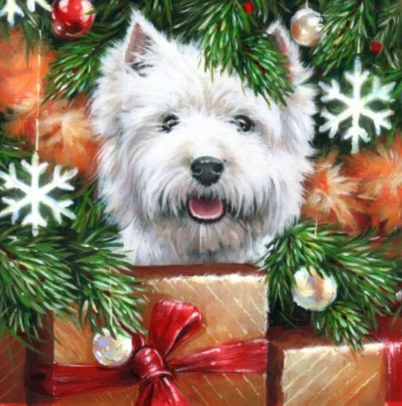 Мозаїка алмазна ТМ Алмазна мозаіка Йорк з подарунками (DM-420) 40 х 40 см (Без підрамника), фото 1