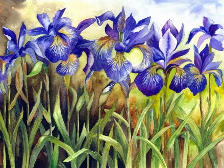 Алмазна мозаїка ТМ Алмазна мозаіка Іриси (DM-029) 30 х 40 см (Без підрамника), фото 1