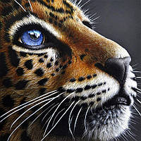 Картина из мозаики ТМ Алмазная мозаика Взгляд леопарда (DMF-399) 40 х 40 см (На подрамнике)