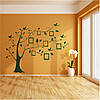 Трафарет для фарбування, Сімейне дерево, одноразовий з самоклеющей плівки у двох розмірах 95 х 119 см, фото 7