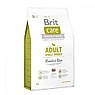 Сухий корм для дорослих собак дрібних порід (вагою до 10 кг) Brit Care Adult Small Breed Lamb & Rice 1 кг (ягня та рис), фото 2