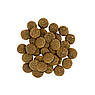 Сухий корм Savory для собак великих порід зі свіжим м’ясом індички та ягняти, 3 кг, фото 3