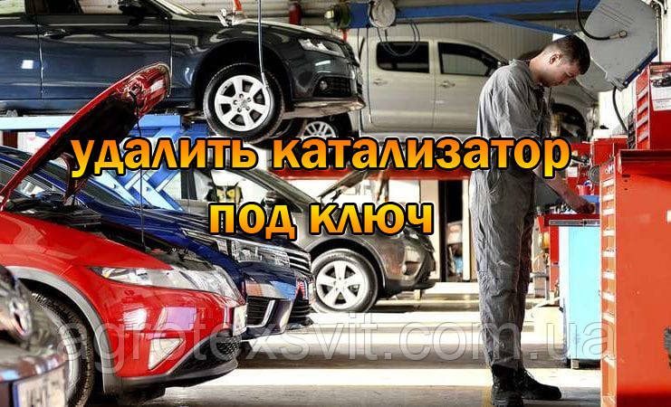 Вирізати каталізатор, Прошивка євро 2, Заміна гофри, AdBlue ремонт, фото 1