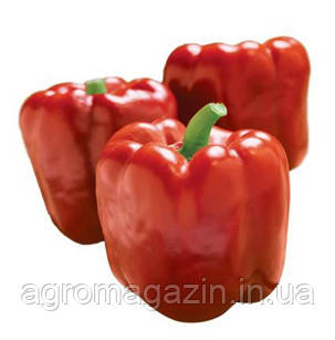 Перець Ред Джевел F1 (1000нас.) Clause