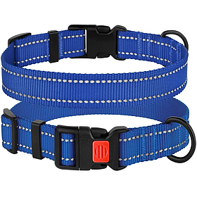Нашийник для собак Active ТМ BronzeDog нейлоновий синій обхват шиї 25-33см ширина 16мм S