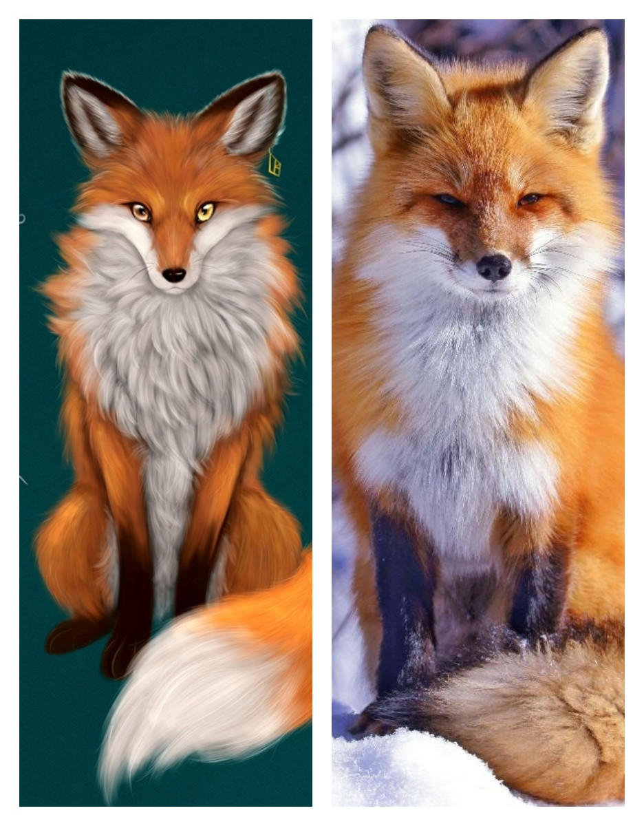 Купити Дакiмакура 150 х 50 см 1200 грн Лисиця Аліса Руда Подушка зі ...