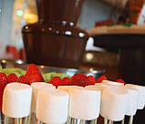 Шоколадний фонтан CAMRY CR 4457 White/Brown (SH111557), фото 6