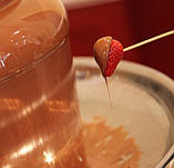 Шоколадний фонтан CAMRY CR 4457 White/Brown (SH111557), фото 7