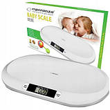 Дитячі електронні ваги для новонароджених Esperanza EBS019 Bebe (SH010984), фото 4