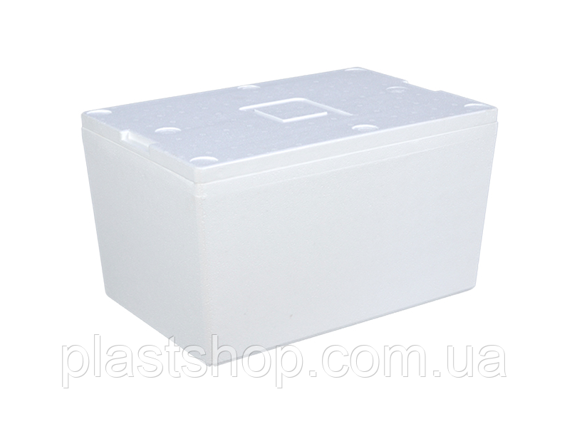 Ізотермічний контейнер в пластикові ящики N6433, фото 1