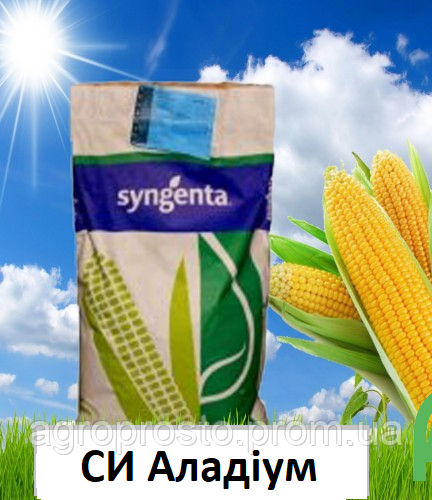 Насіння кукурудзи СИ Аладіум Syngenta (ФАО 280)