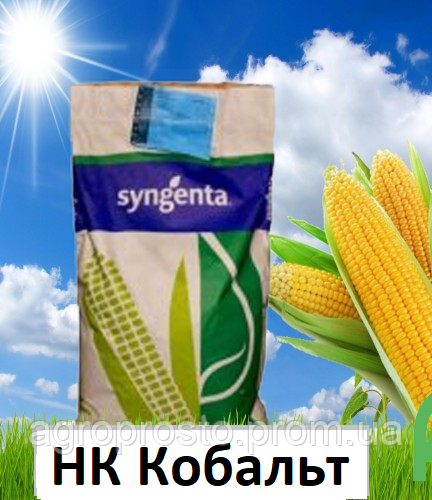 Насіння кукурудзи НК Кобальт Syngenta (ФАО 320)