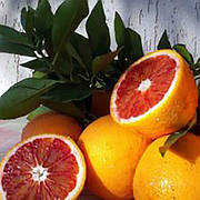 Апельсин "Тарокко Гало" (C. sinensis "Tarocco Gallo")