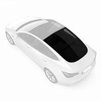 Заднє панорамне скло Tesla Model 3 (2017-) /Тесла Модел 3