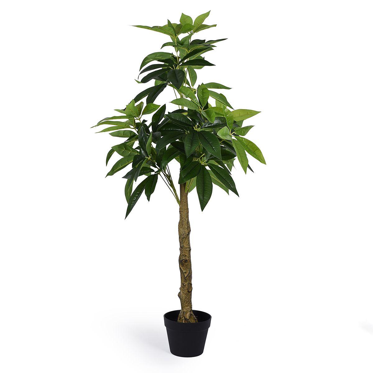 Висока штучне дерево Пахіра Водної у горщику, фото 1