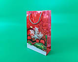 Пакет Паперовий Подарунковий Новий рік 17x26x8(12 шт)Паперовий пакет для Новорічних подарунків, фото 2