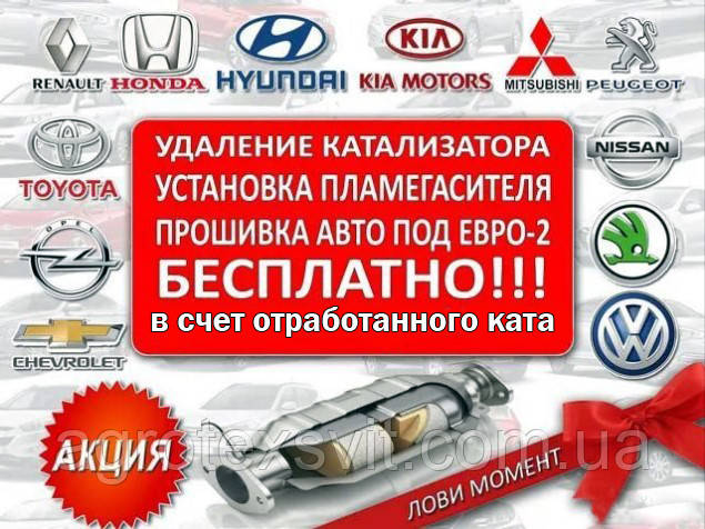ЧИП ТЮНІНГ Прошивка євро2, Видалити каталізатор під ключ! Гарантія!, фото 1