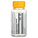 Solaray, монолаурин, 500 мг, 60 вегетаріанських капсул, фото 2