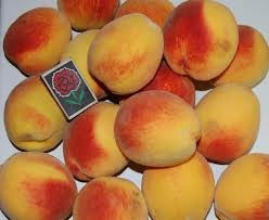 Персик Ювілейний Сидоренко (середньостиглий), фото 1