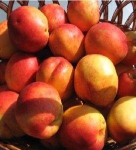 Нектарин Рубіновий 7 (середньостиглий), фото 1