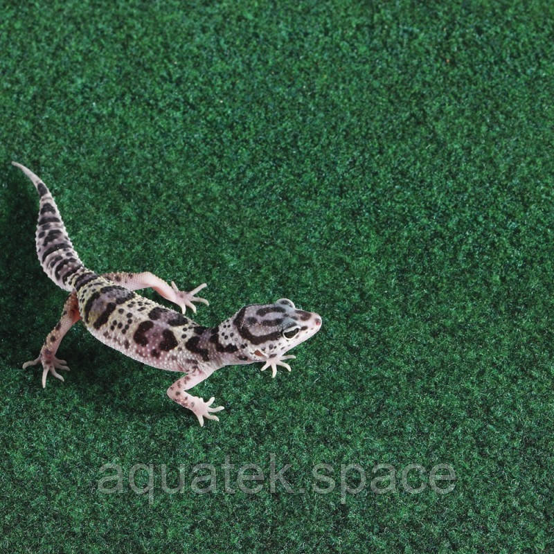 Коврик-субстрат Komodo Reptile Carpet 60x50см (83028) - фото 3 - id-p1503944910