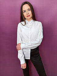 Класична біла блуза жіноча з довгим рукавом 50