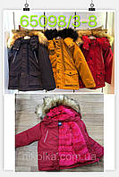 Куртка на хутрі для хлопчиків оптом, Seagull, 3/4-7/8 років, арт. CSQ-65098, фото 7