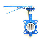 Засувка Батерфляй диск - нж, ущільнення - PTFE Ду250 Ру16 RBV-16-60(РР) (P203), фото 2