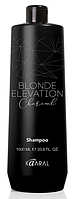 Kaaral Blonde Elevation Charcoal Шампунь для осветленных волос, 1000 мл 1086