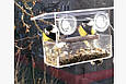 Годівниця для птахів з присосками на вікно акрилова Лоджія, фото 9