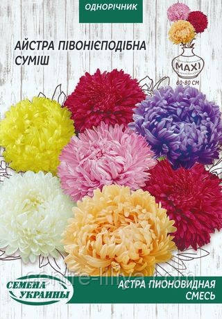 Насіння Квіти Айстра Піоновидна суміш 0,25 г Насіння України