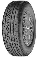 Зимние шины Petlas Snowmaster W651 195/65 R15 95H