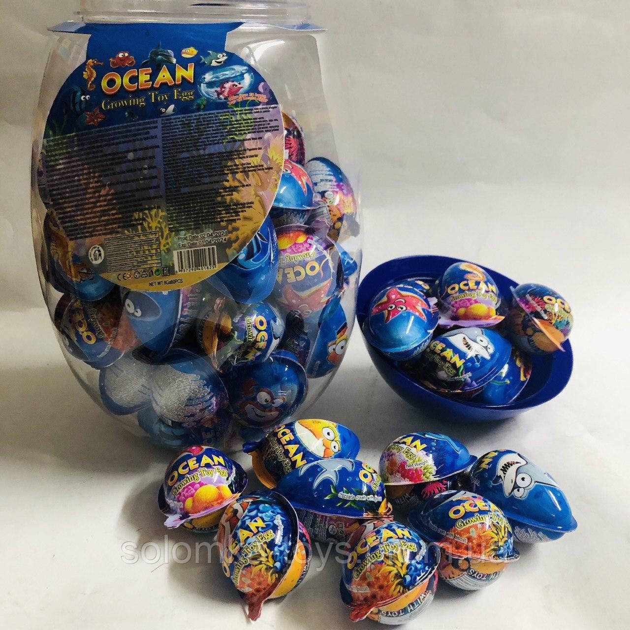 Пластиковые яйца в банке ОКЕАН с игрушкой-ВЫРОСТАЙКА 60 шт - фото 1 - id-p1504089087