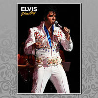 Плакат А3 Elvis Presley 014