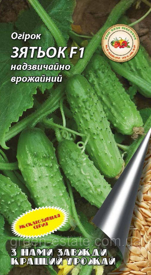 Семена огурцов Зятек F1 2 г. самоопыляемый купить в Украине почтой ...