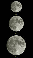 Професійний бінокль Borwolf 12-36X60, фото 6